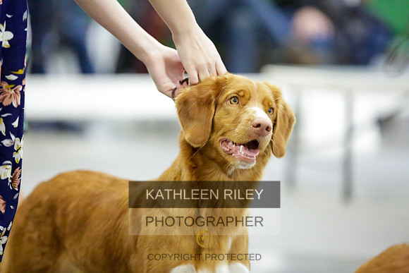 2022-KathleenRileyPhotography-8853