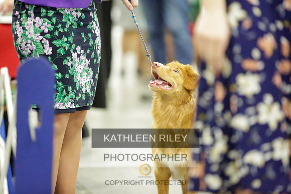 2022-KathleenRileyPhotography-8854
