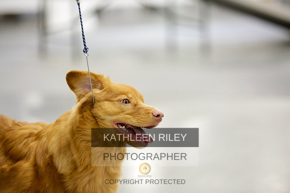 2022-KathleenRileyPhotography-8863