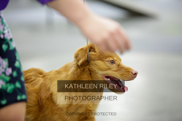 2022-KathleenRileyPhotography-8864-2