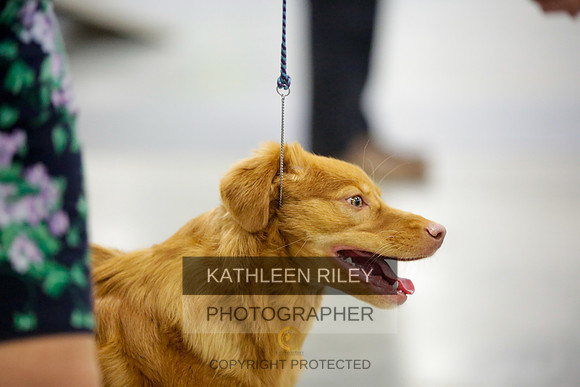 2022-KathleenRileyPhotography-8865