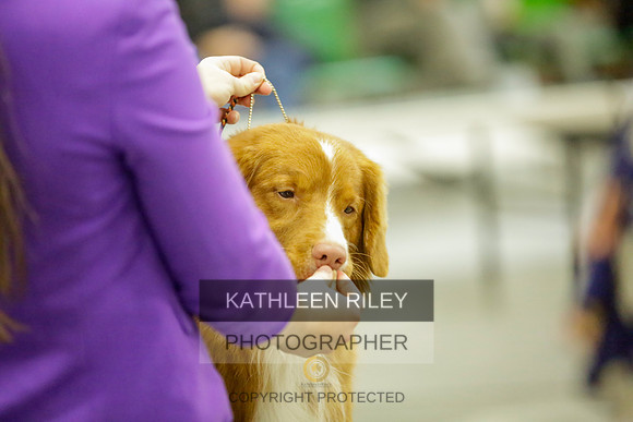 2022-KathleenRileyPhotography-8871