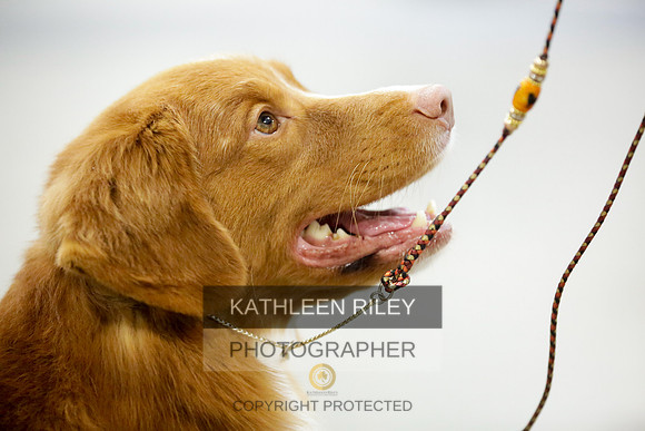 2022-KathleenRileyPhotography-8915