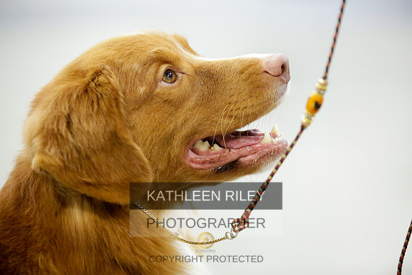 2022-KathleenRileyPhotography-8916