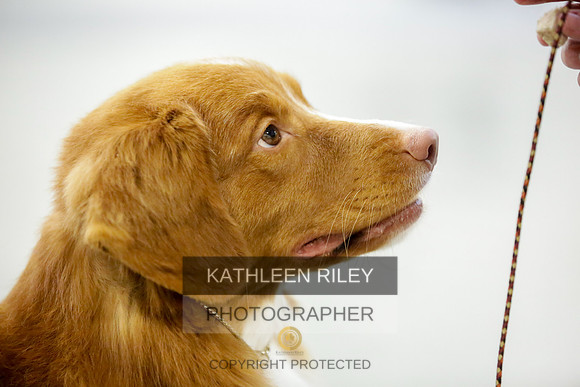 2022-KathleenRileyPhotography-8917