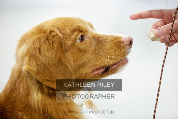 2022-KathleenRileyPhotography-8918-2