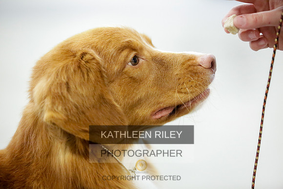 2022-KathleenRileyPhotography-8919