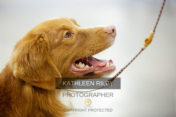 2022-KathleenRileyPhotography-8920