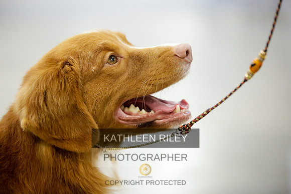 2022-KathleenRileyPhotography-8921-2