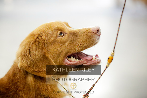 2022-KathleenRileyPhotography-8922