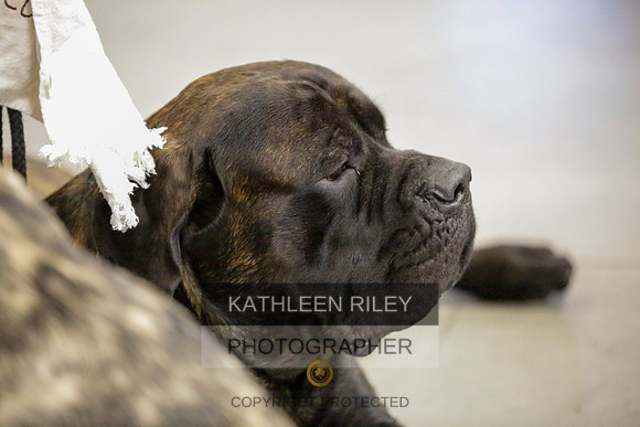 2022-KathleenRileyPhotography-8963