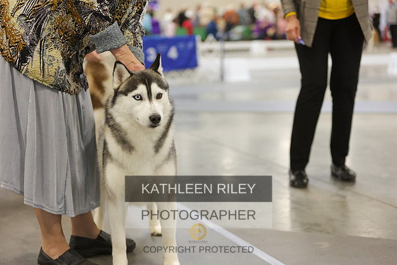 2022-KathleenRileyPhotography-8954