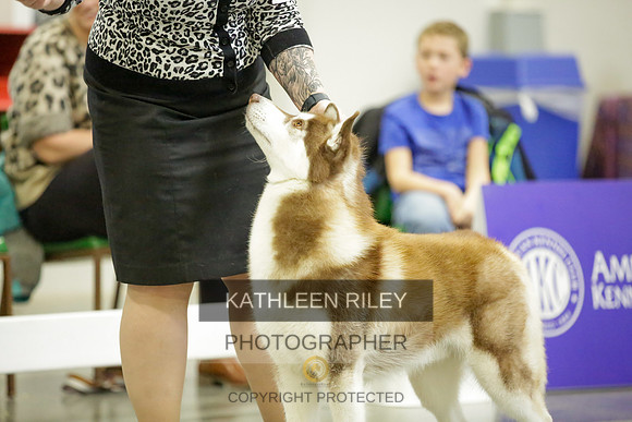 2022-KathleenRileyPhotography-8964