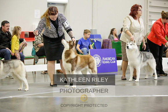 2022-KathleenRileyPhotography-8968
