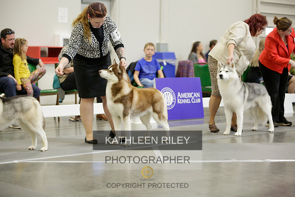 2022-KathleenRileyPhotography-8969