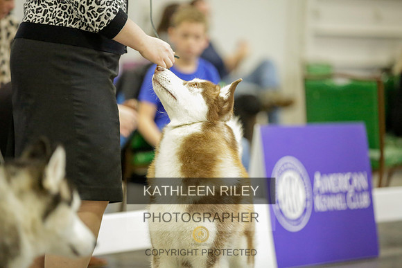 2022-KathleenRileyPhotography-8970