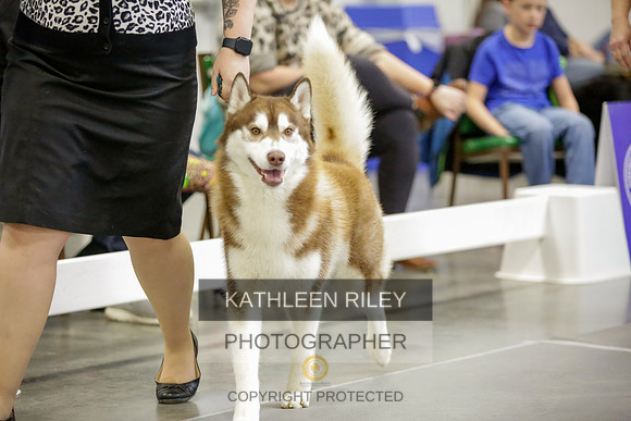 2022-KathleenRileyPhotography-8972
