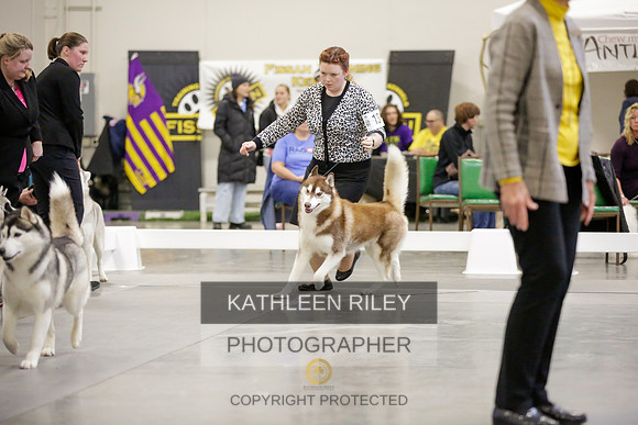 2022-KathleenRileyPhotography-8976