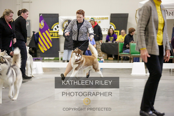 2022-KathleenRileyPhotography-8977