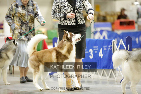 2022-KathleenRileyPhotography-8978