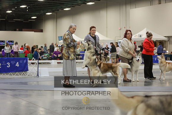 2022-KathleenRileyPhotography-8957