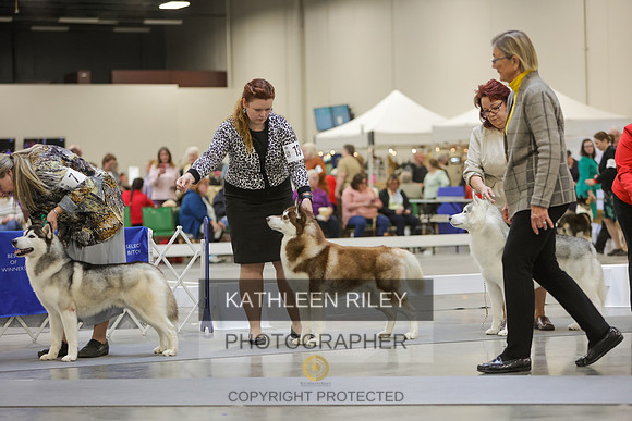 2022-KathleenRileyPhotography-8958