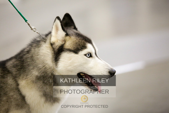 2022-KathleenRileyPhotography-8987