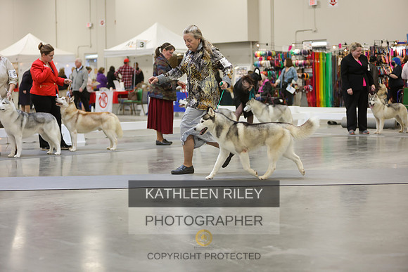 2022-KathleenRileyPhotography-8961