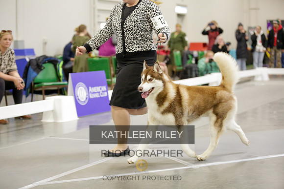 2022-KathleenRileyPhotography-8993