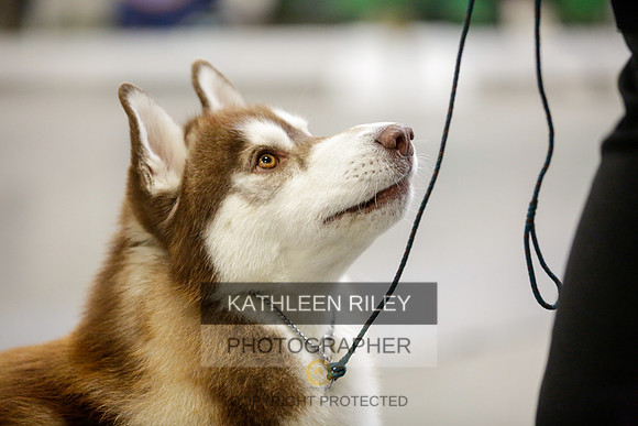 2022-KathleenRileyPhotography-9005