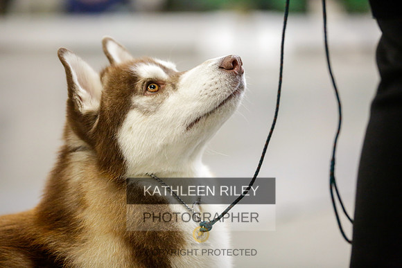 2022-KathleenRileyPhotography-9006