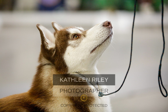 2022-KathleenRileyPhotography-9008
