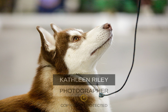 2022-KathleenRileyPhotography-9009