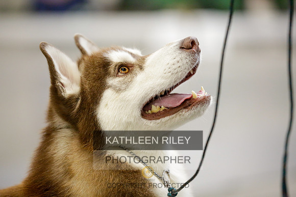 2022-KathleenRileyPhotography-9010