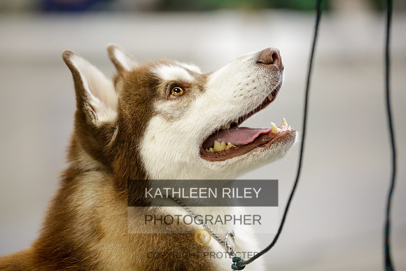 2022-KathleenRileyPhotography-9011
