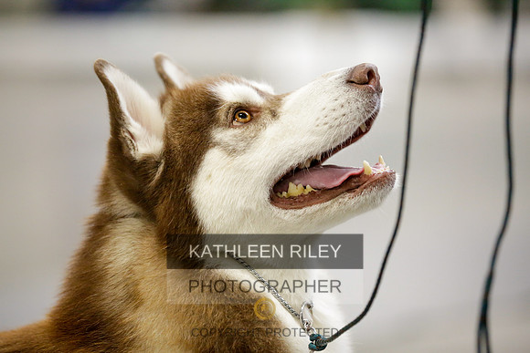 2022-KathleenRileyPhotography-9012