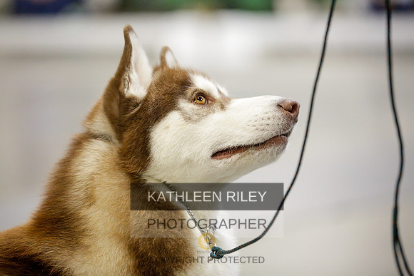 2022-KathleenRileyPhotography-9013