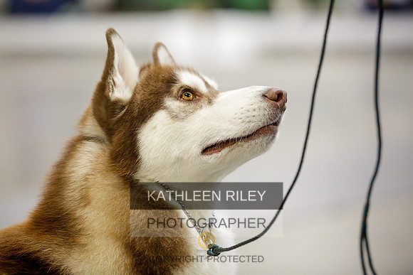 2022-KathleenRileyPhotography-9014