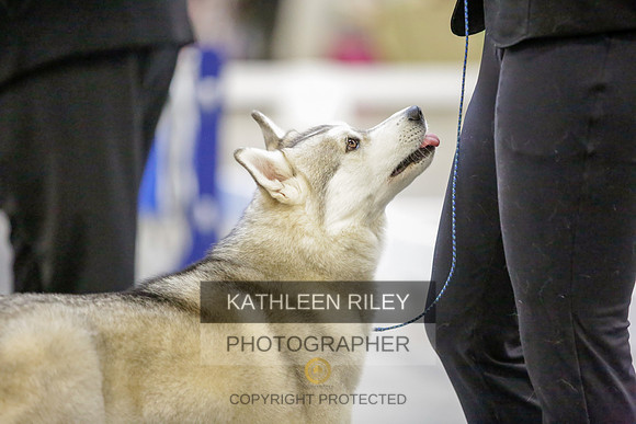 2022-KathleenRileyPhotography-9015