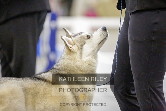 2022-KathleenRileyPhotography-9016