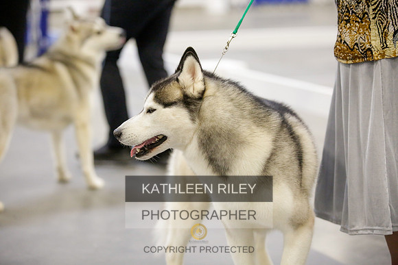 2022-KathleenRileyPhotography-9017