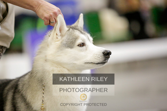 2022-KathleenRileyPhotography-9019