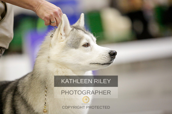 2022-KathleenRileyPhotography-9020