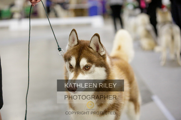 2022-KathleenRileyPhotography-9023