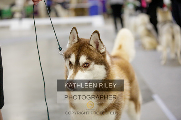 2022-KathleenRileyPhotography-9024
