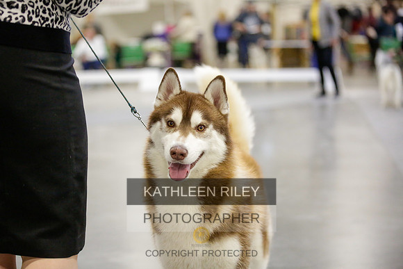 2022-KathleenRileyPhotography-9025