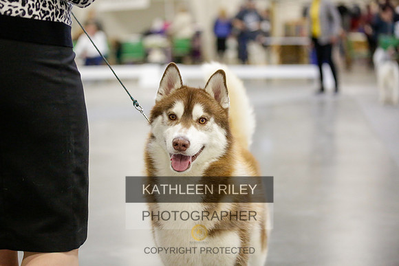 2022-KathleenRileyPhotography-9026