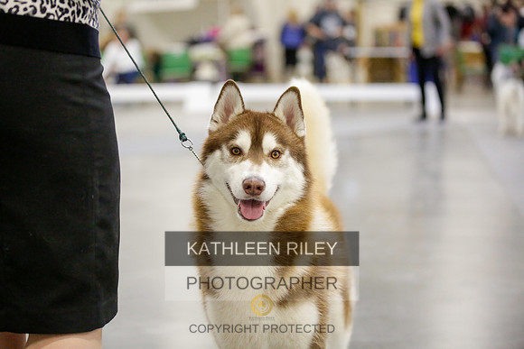 2022-KathleenRileyPhotography-9027