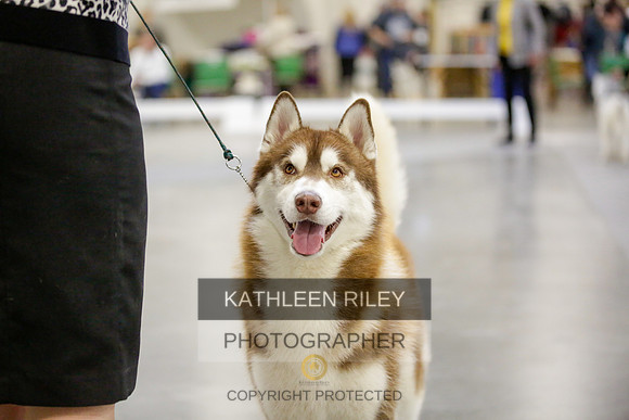 2022-KathleenRileyPhotography-9028