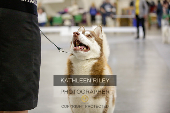 2022-KathleenRileyPhotography-9029